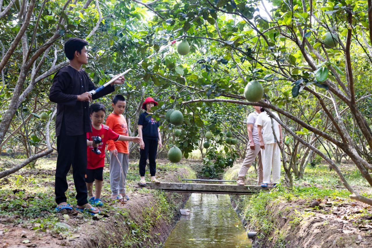 Con Phung Resort Mekong - Nature Escape With Free Boat Shuttle & Fishing 벤째 외부 사진