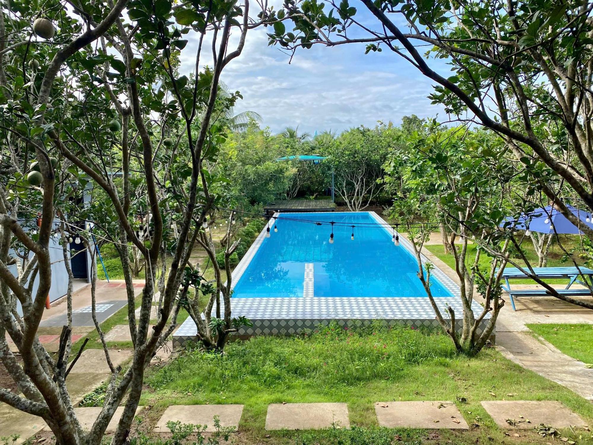 Con Phung Resort Mekong - Nature Escape With Free Boat Shuttle & Fishing 벤째 외부 사진